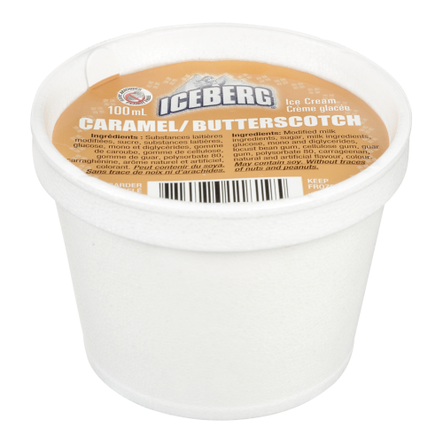 24X100ML IBERGERG ICE CREAM BUTTERSCOTCH