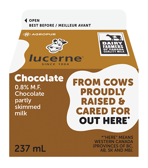 237ML LUCERNE LAIT AU CHOCOLAT 0,8%