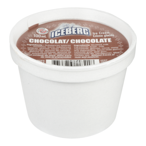 24X100ML IBERGERG CRÈME GLACÉE CHOCOLAT