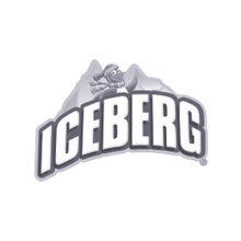 Iceberg