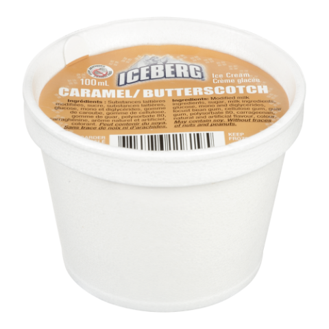 24X100ML IBERGERG ICE CREAM BUTTERSCOTCH