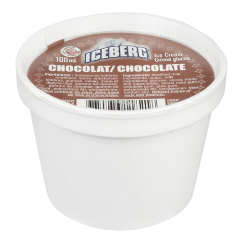 24X100ML IBERGERG CRÈME GLACÉE CHOCOLAT