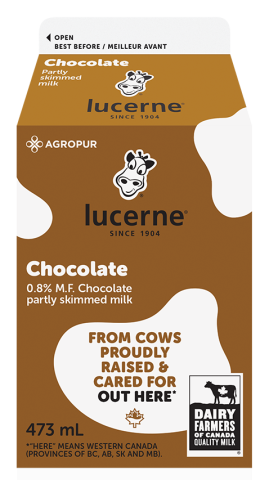 473ML LUCERNE CHOCOLATE MILK 0.8%